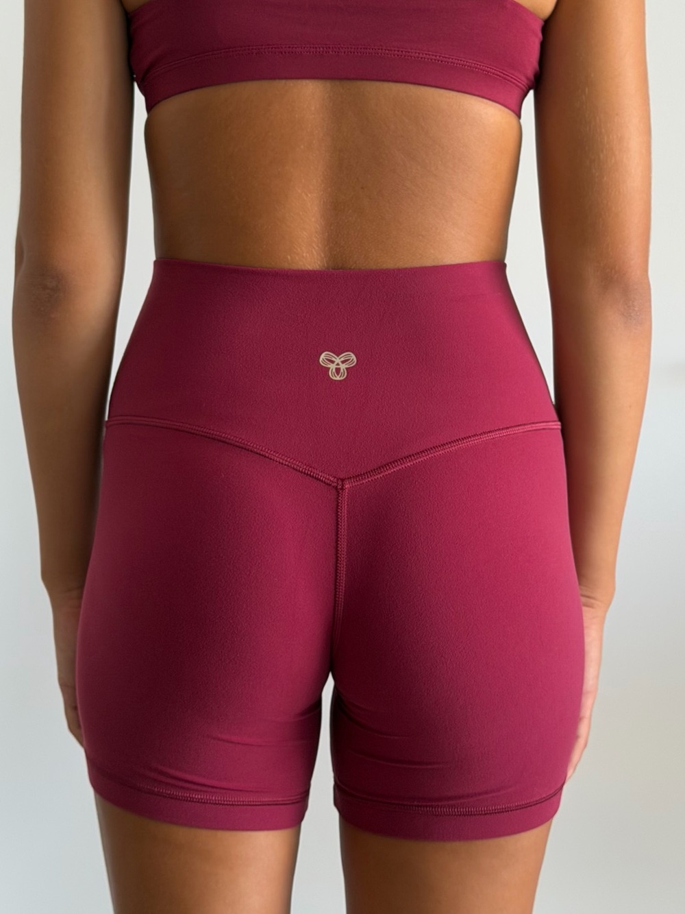 Aritzia High-Waist Athletic 5” Shorts